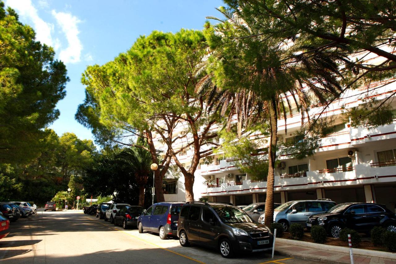 Apartamento Can Poma Alcudia  Dış mekan fotoğraf
